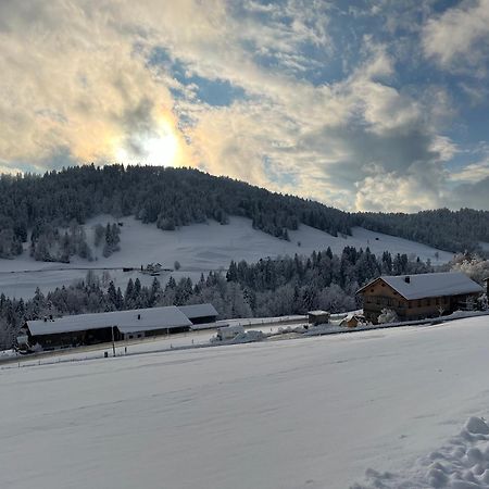 Ferienwohnung Schoenenbuehl Hittisau Bagian luar foto