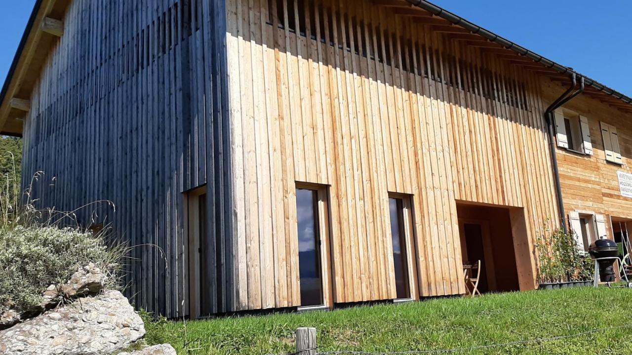 Ferienwohnung Schoenenbuehl Hittisau Bagian luar foto