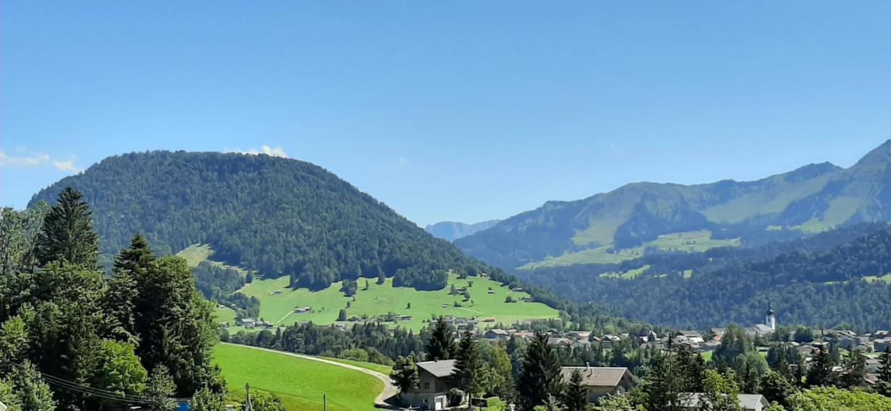 Ferienwohnung Schoenenbuehl Hittisau Bagian luar foto