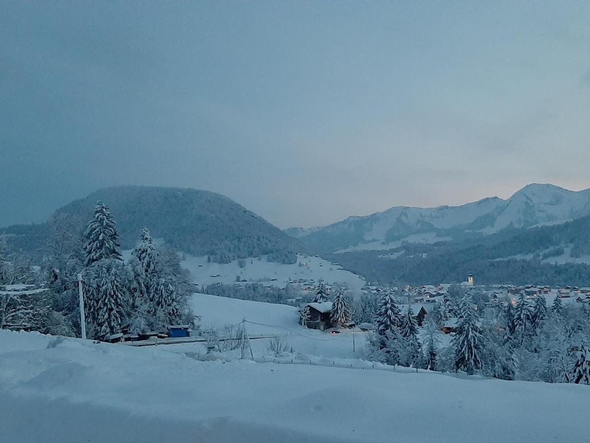 Ferienwohnung Schoenenbuehl Hittisau Bagian luar foto