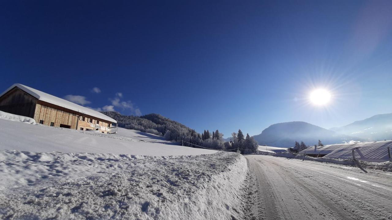 Ferienwohnung Schoenenbuehl Hittisau Bagian luar foto