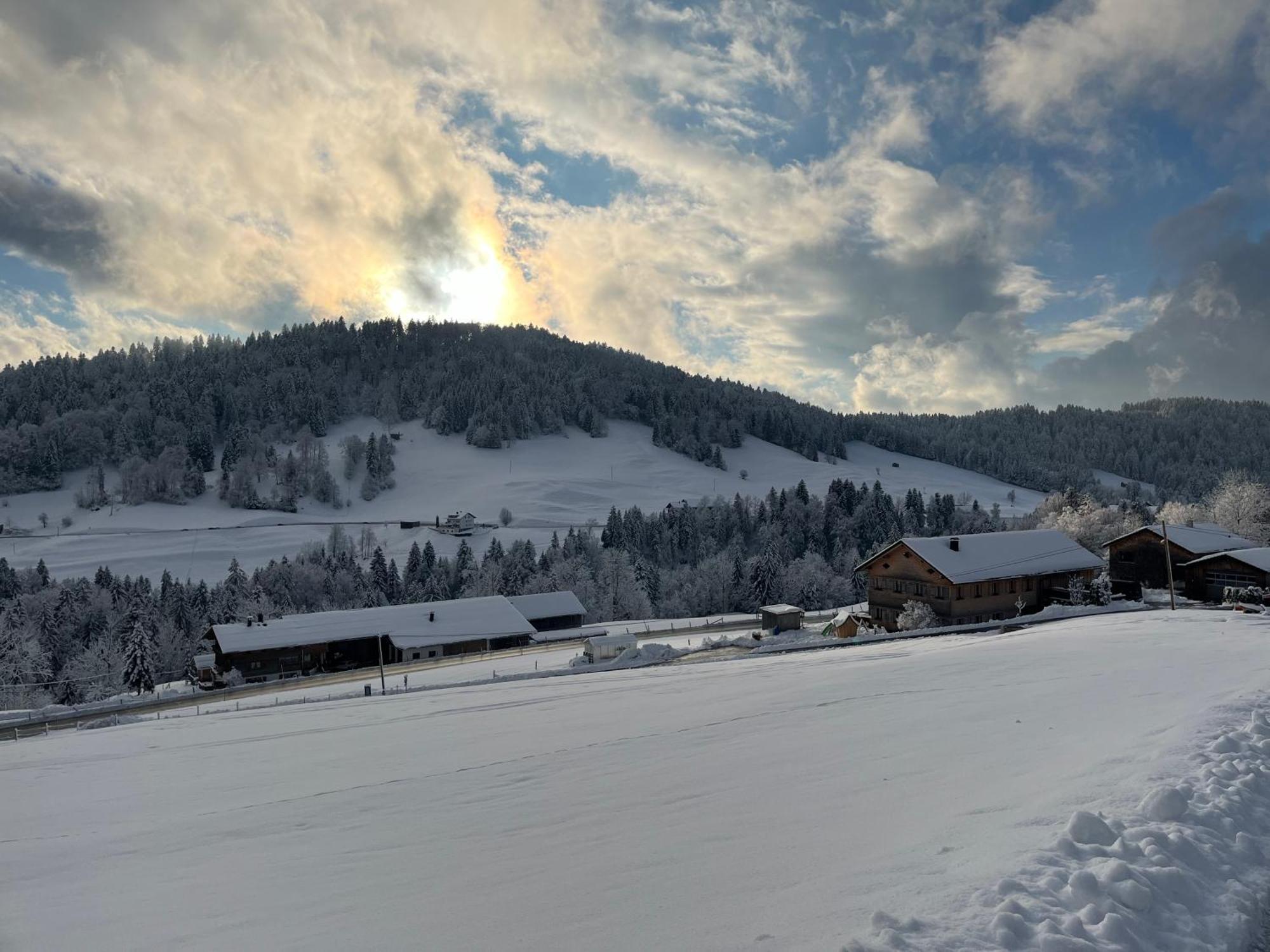 Ferienwohnung Schoenenbuehl Hittisau Bagian luar foto